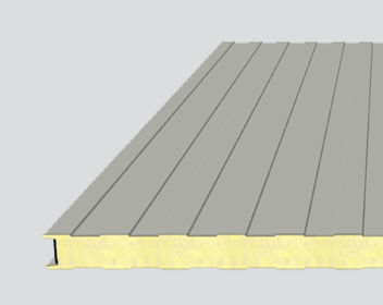 pok panel