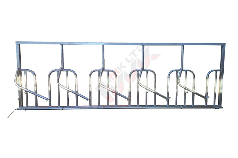 Feed fences with headlock for horned animals