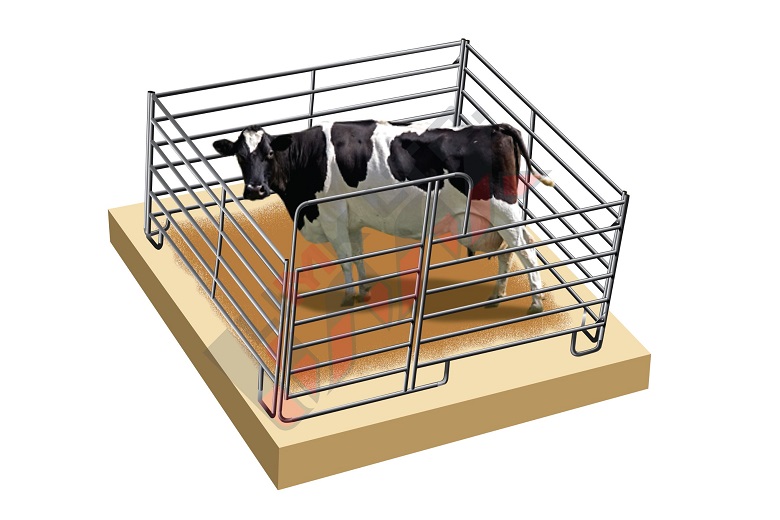 Single box for cows