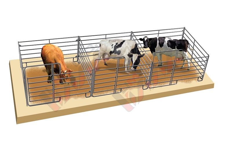 Triple boxes for cows