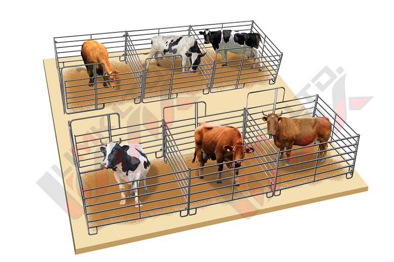 2 x 3-Unit Stall Row for cows
