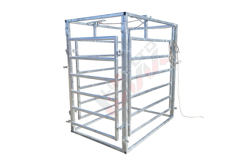 Separation gate for cows
