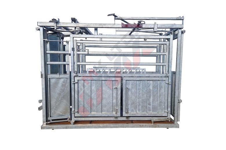 Veterinary cattle crush with automatic locking door