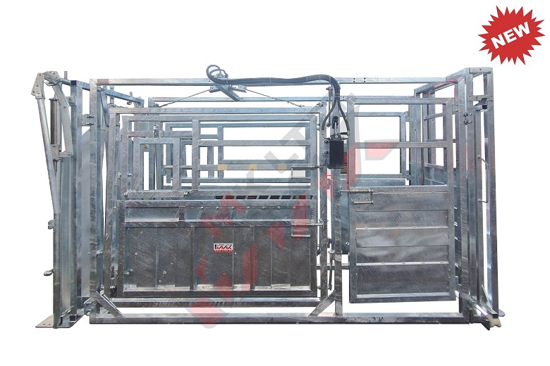 Veterinary beef cattle crush