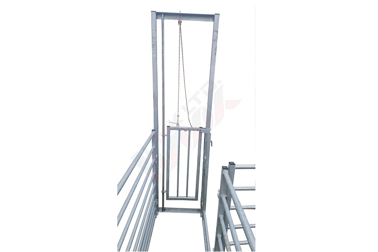 Guillotine door for sheep